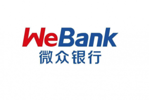 中国十大民营银行，微众银行排第一，湖北首家民营银行排第九